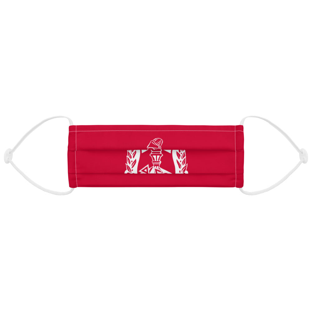 Premium face mask