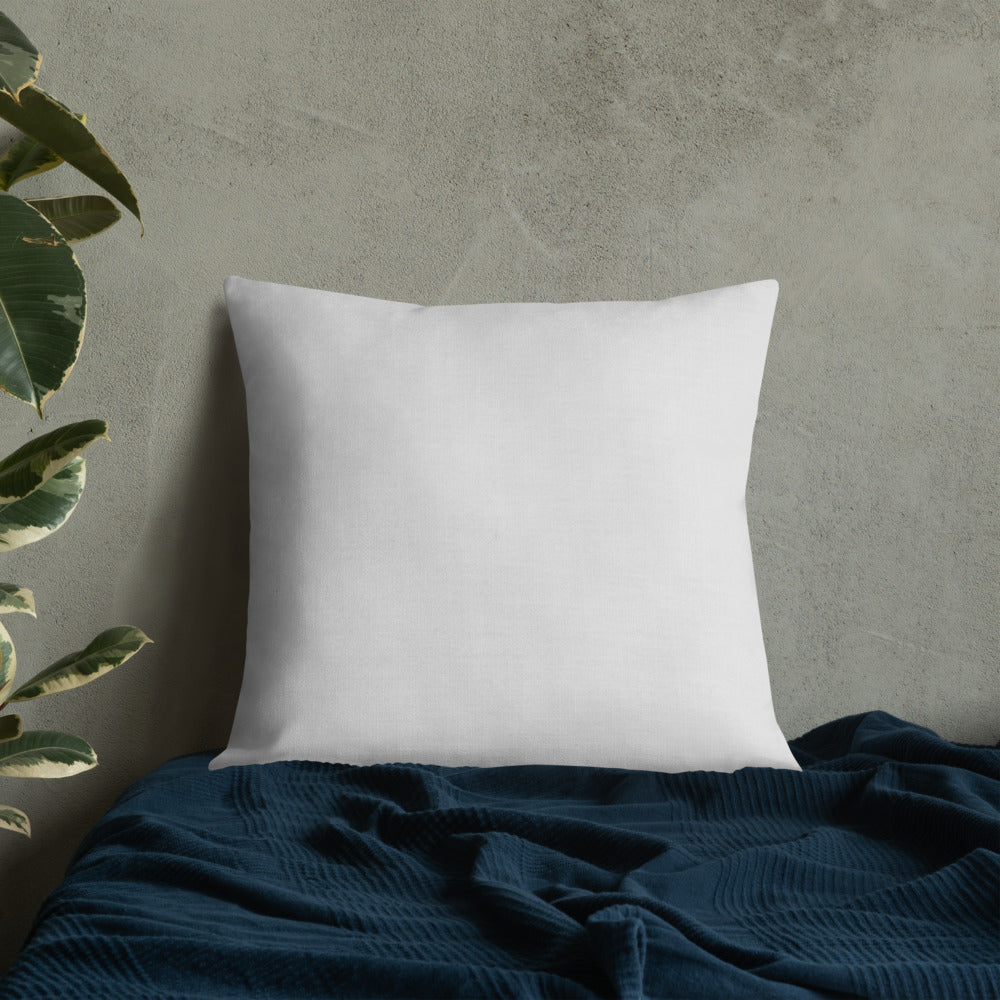 Graffiti Guide to Styling Premium Pillow