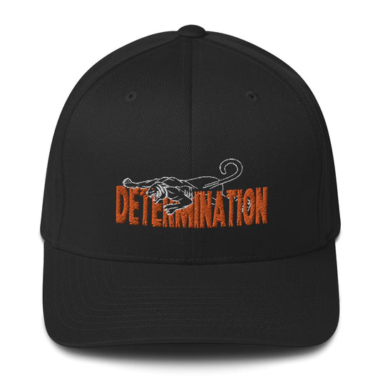 DETERMINATION Structured Twill Cap